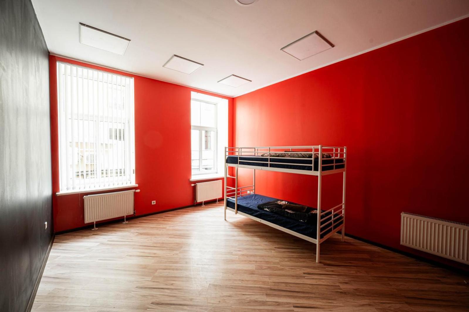 Hedgehogs Backpackers Hostel Albergue
