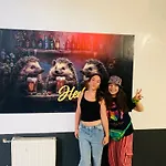 Hedgehogs Backpackers Hostel