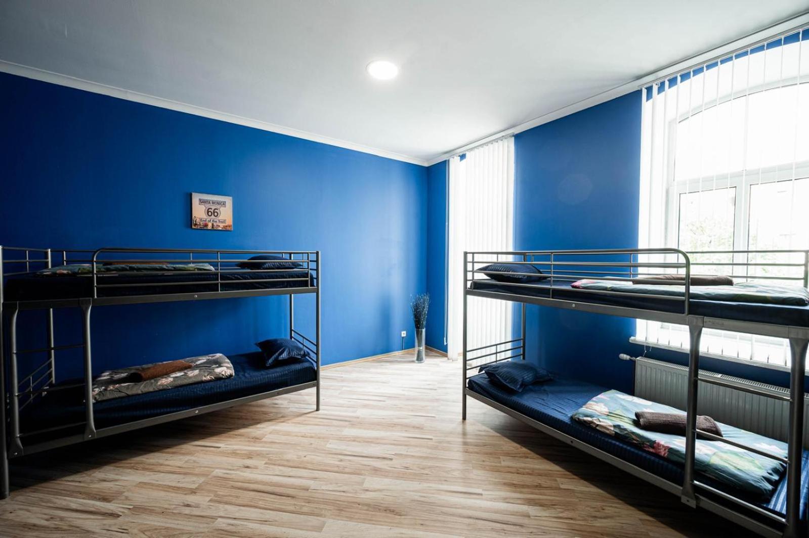 Hostel Hedgehogs Backpackers Hostel *