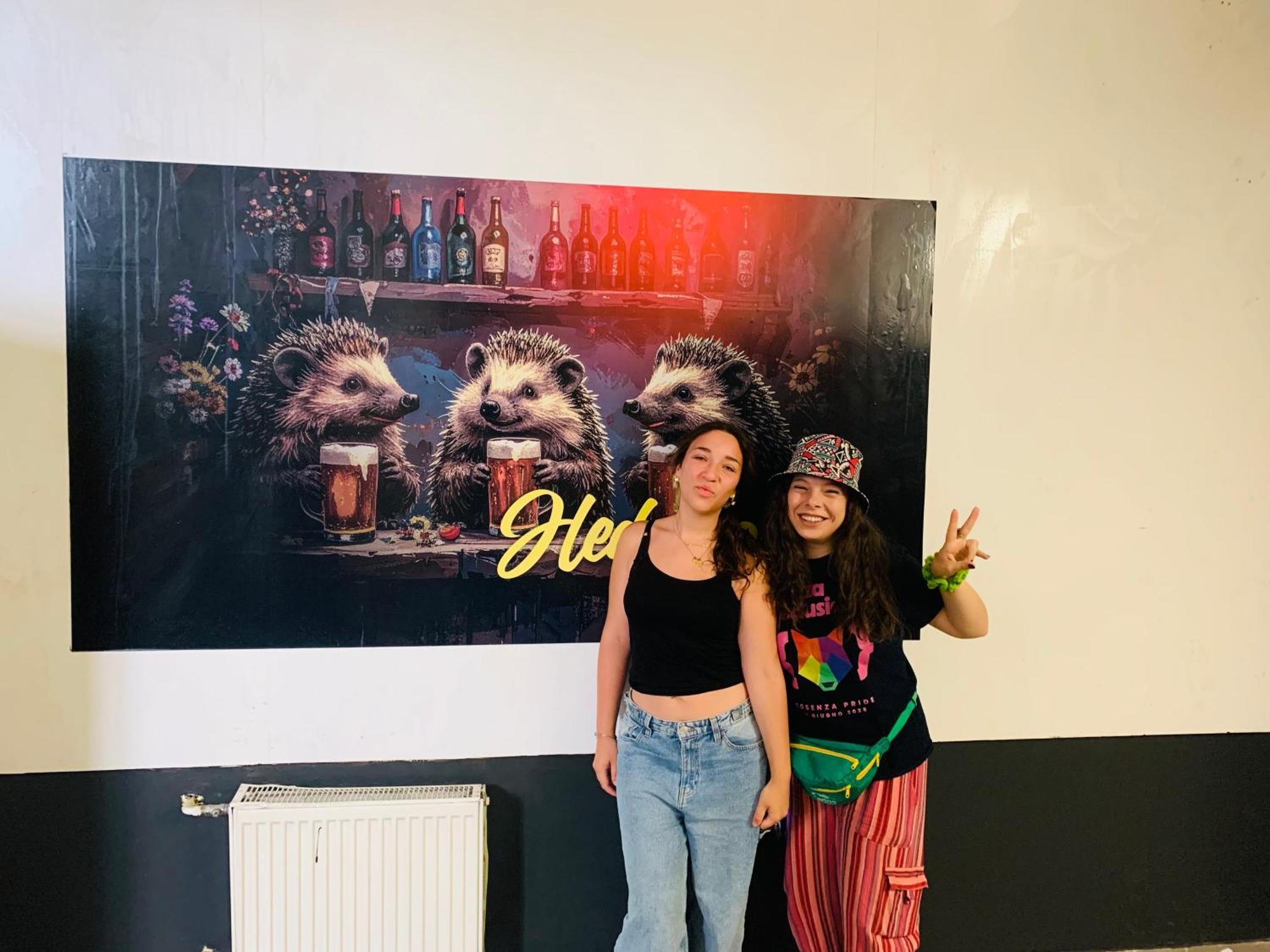 Hedgehogs Backpackers Hostel